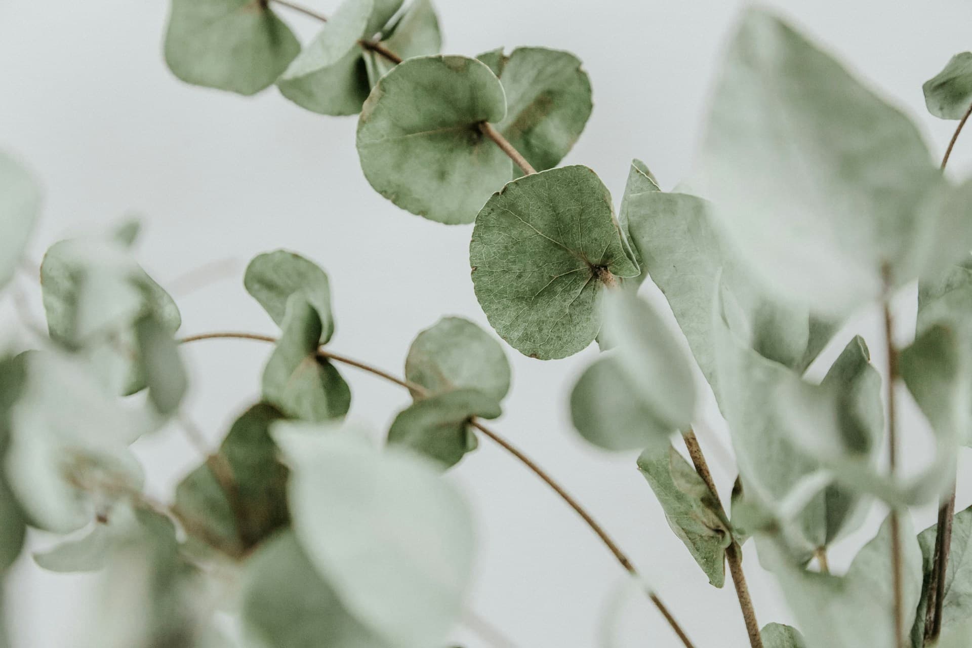 Beautiful radiant skin — Spirit Dermatology